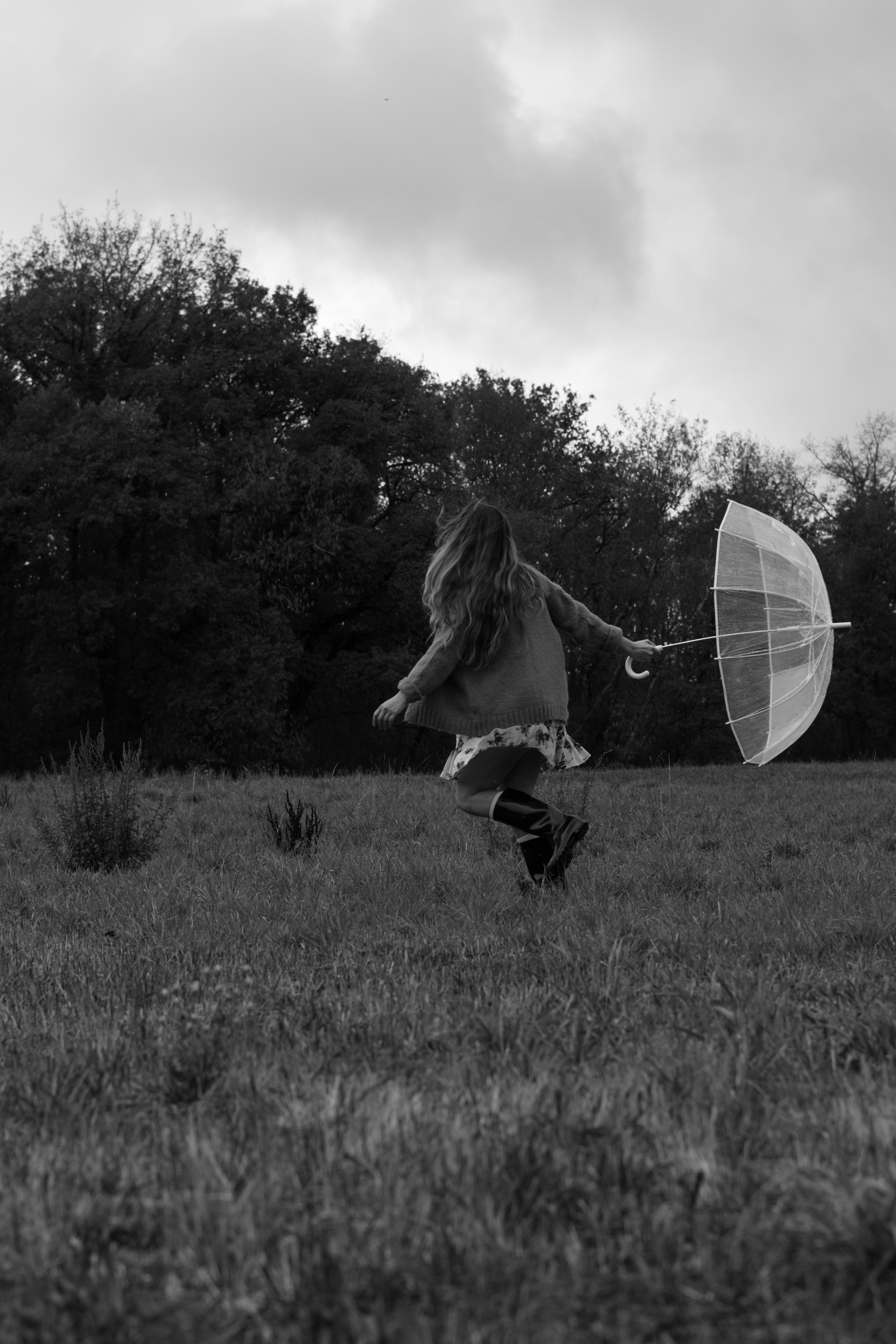 Gallery cover image